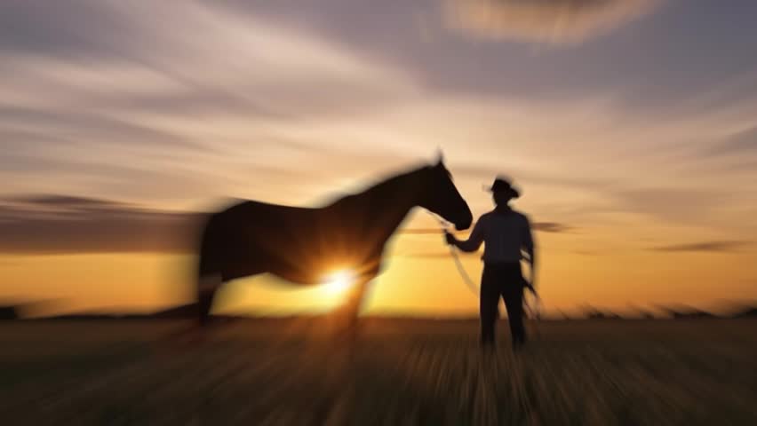 a person leading a horse in a field during sunset