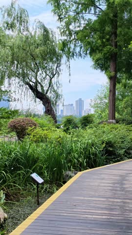 Xuanwu Lake Park in Nanjing in summer