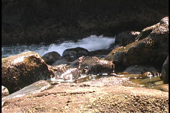 Wave splashing on the rocks