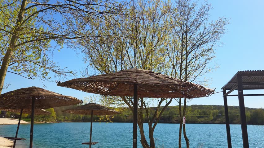 Thatched reed parasols stand along a quiet shoreline looking out over turquoise water surrounded by lush green trees on a sunny day.
