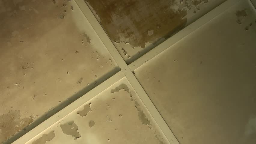 An old wooden house roof with a layer of faded white paint