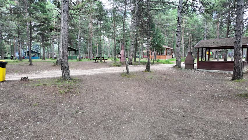 
Picnic area among pine trees, gazebos, barbecue areas.