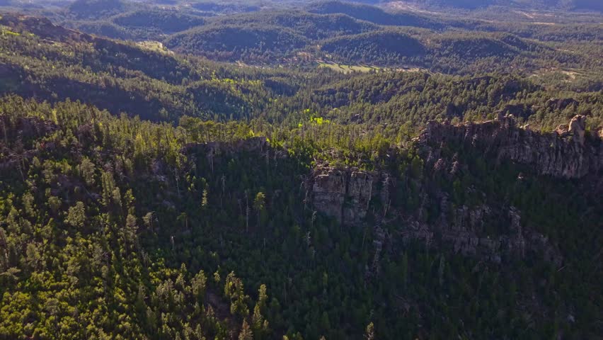 Aerial view of Black Hills National Forest in South Dakota featuring expansive woodlands and rugged terrain.