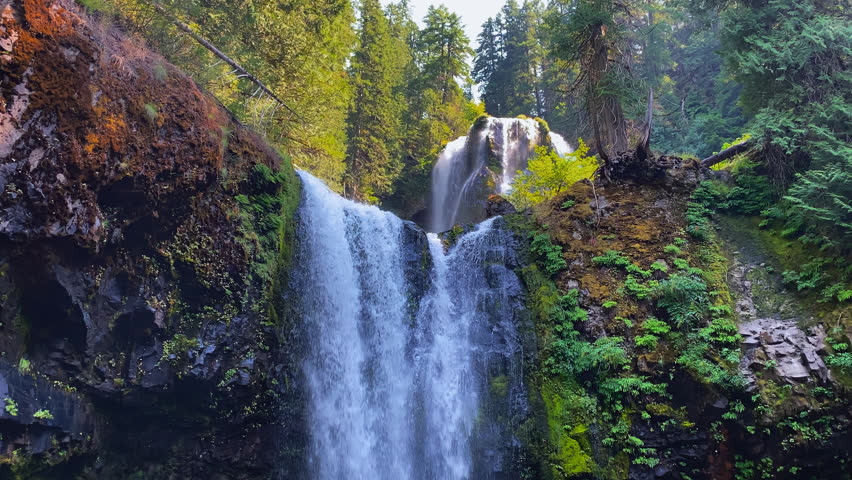 Tilting down at the lower waterfall as water rushes through rocky gorge surrounded by forest and mossy cliffs, Falls Creek Falls, PNW Washington