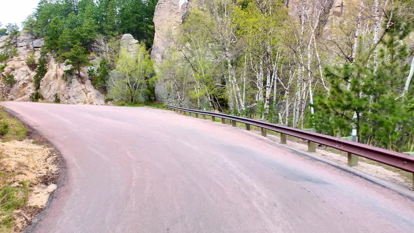 Scenic view of a road in Custer State Park at sunrise with Cathedral Spires in the background