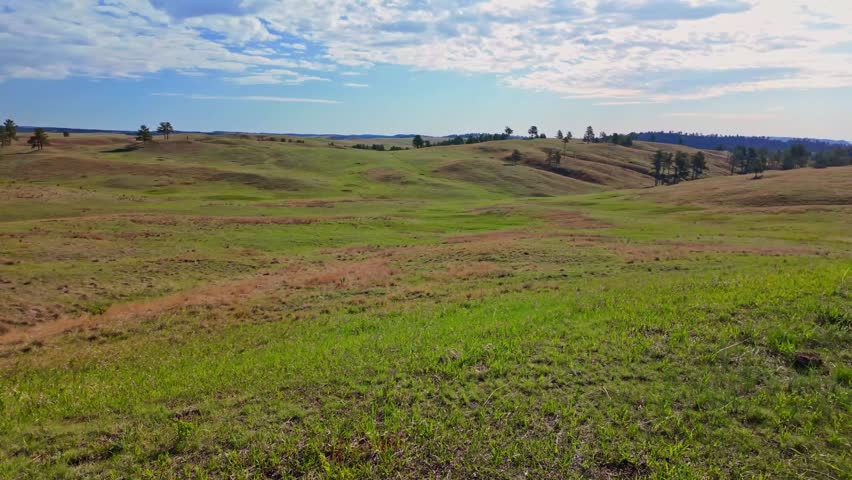 Rolling green meadows and forested hills along the Centennial Trail Loop at Wind Cave National Park