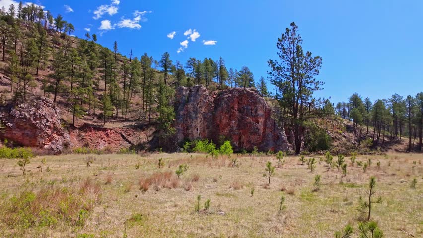 Rolling green meadows and forested hills along the Centennial Trail Loop at Wind Cave National Park