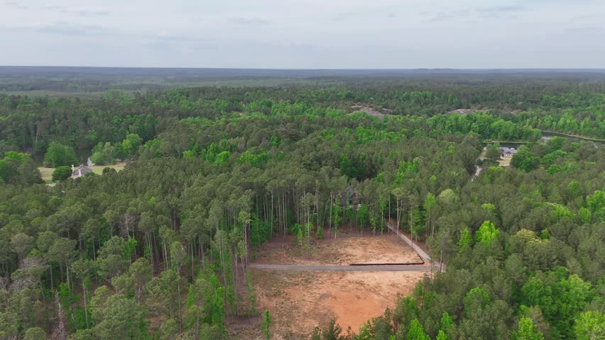 Aerial View of Hurricane Damaged Forest Clearing and Downed Trees Georgia