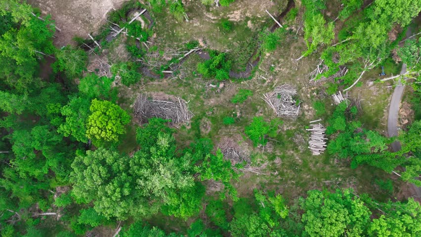 Aerial View of Hurricane Damage and Downed Trees in Forest Appling Georgia