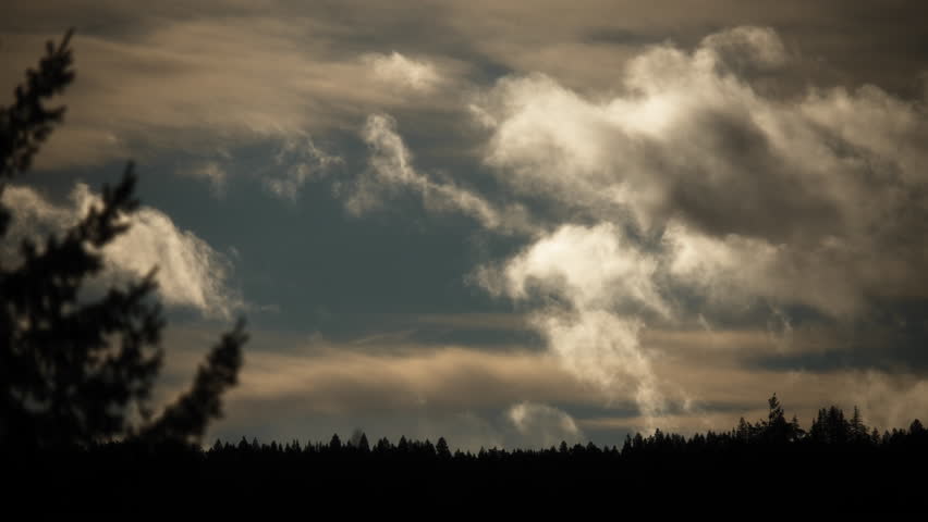 Dramatic white clouds moving in the morning sky above tree line silhouette