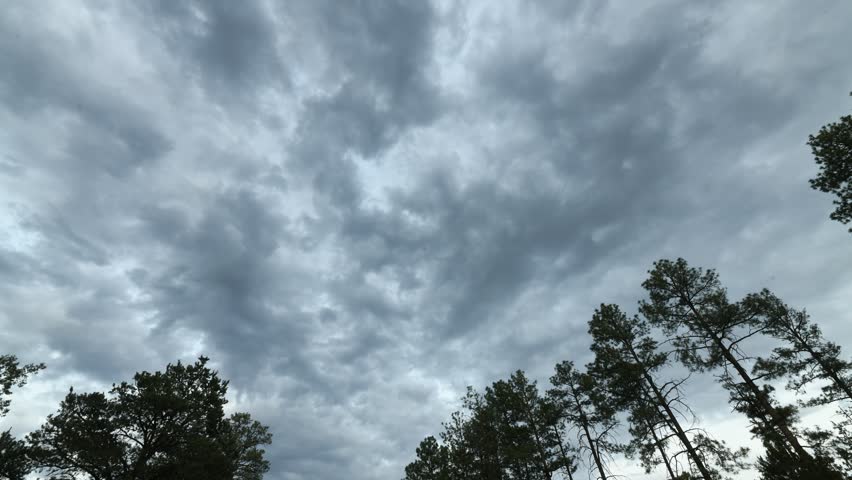 time lapse of clouds moving over pine trees