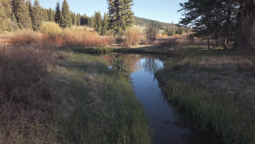 Aerial drone footage approaching a still pond in Straight Canyon, Utah. The shot moves toward a pine tree beside a small mountain stream, with calm reflective water mirroring the surrounding forest and natural landscape in 4K resolution.
