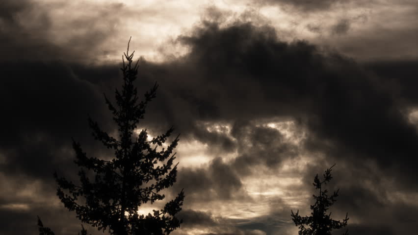 Dramatic clouds moving in the morning sky above tree line silhouette.