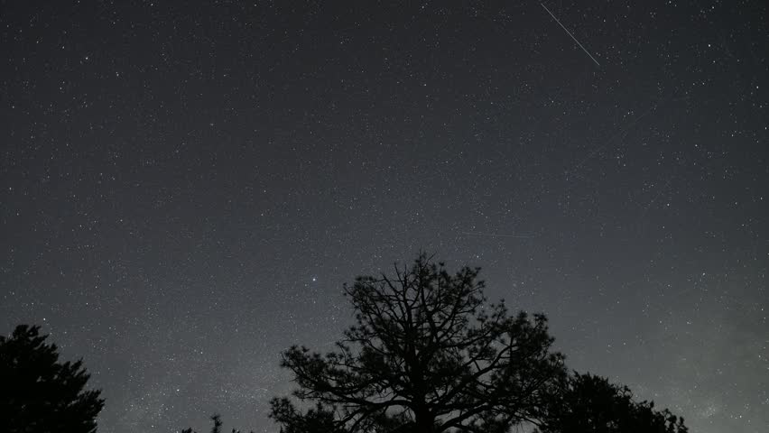 time lapse of Milky Way rising over pine tree