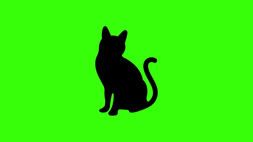 Animated Black Cat Silhouette Loop Green Screen Background
