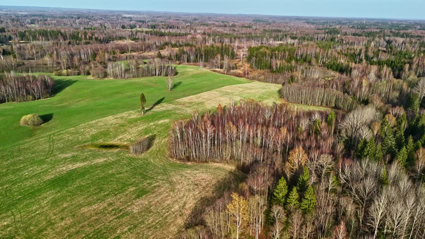 Cut grassy meadow surrounded by deciduous trees aerial view