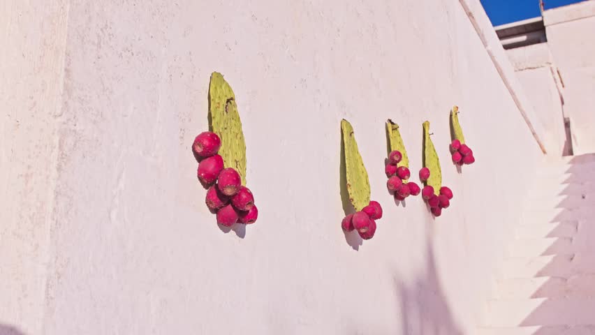 puglia, italy, prickly pear, decoration, white, wall, cactus, fruit, traditional, mediterranean, plant, southern italy, house, summer, travel, outdoor, architecture, background, beautiful, building, c