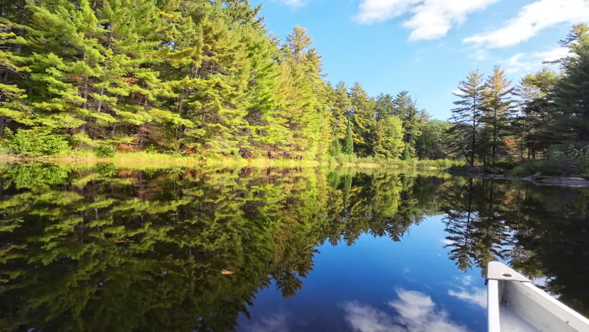 View from a canoe gliding across calm reflective water with blue skies, white clouds, and coniferous trees mirrored on the river in Algonquin Provincial Park, Ontario, Canada.