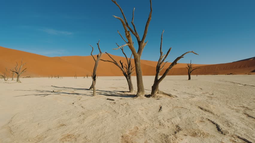 Scenic view of dead trees in the iconic deadvlei landscape of sossusvlei, namib desert, namibia.