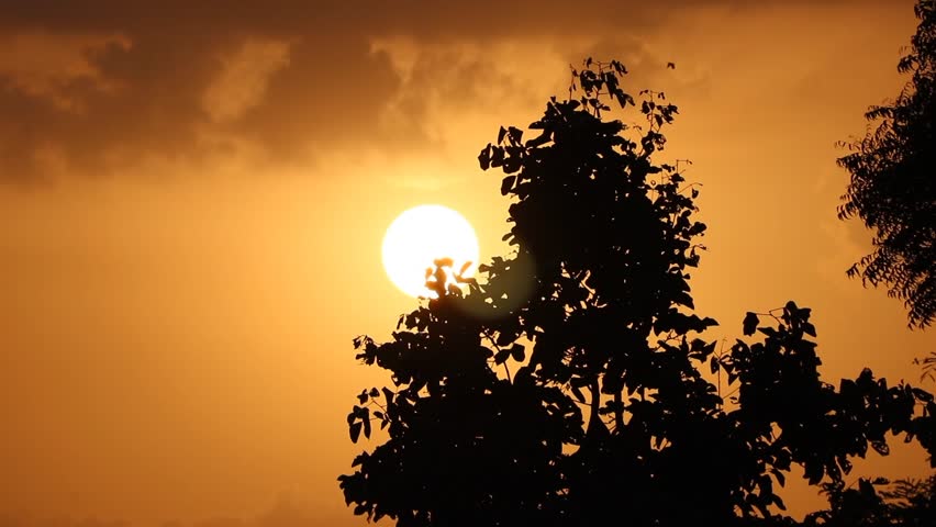    Beautiful golden sunset behind tree silhouette in evening
 
     "A peaceful and cinematic view of a beautiful sunset with the sun shining behind the silhouette of a tree during the golden hour. Perfect for nature, relaxation, and travel-themed content."