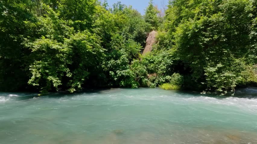 Rushing Turquoise River Flowing Through Lush Green Forest