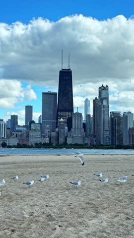 Seagulls are flying and standing on the sand near the beach. The city skyline of Chicago shows tall buildings in the background with a blue sky and clouds.
