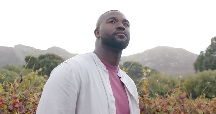 Adult African man standing in vineyard, looking upward at bright sky and smiling, wearing pink tee. Male, grapevines, countryside, outdoors, hills, portrait, scenic