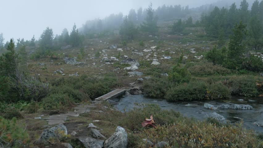 Handheld camera shot of a small mountain river flowing under a wooden plank bridge in a misty coniferous forest. Thick morning fog rolls over the rocky landscape creating a peaceful and moody wilderness atmosphere.