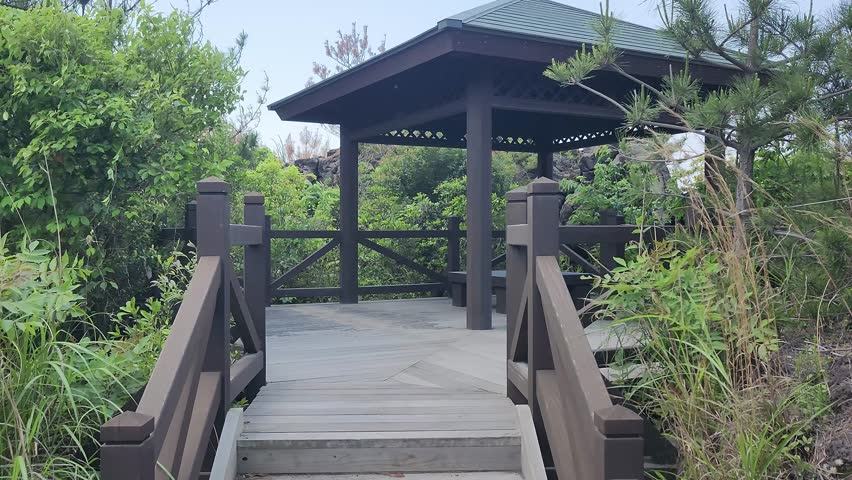 Narrow forest path winds through dense greenery. Moss covers rocks and tree trunks. Lush foliage surrounds the trail. Wooden sign marks the path. Bright green plants fill the scene