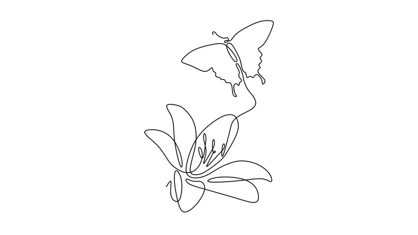 Animated self drawing of continuous line draw.  Butterfly and Flower in Continuous Line Art. Full length one line animation. 4K 