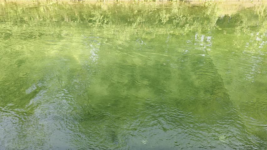 Green water of a rider in a park