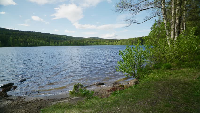 Tranquil forest lake landscape during spring season showcasing rippling blue water calm shoreline grassy banks birch trees and distant green hills under scenic cloudy sky footage.