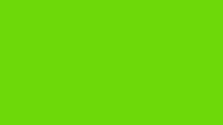 Animated patriotic brush stroke banner inspired by independence day colors on green screen and white screen background suitable for holiday videos event promotions and celebration graphics