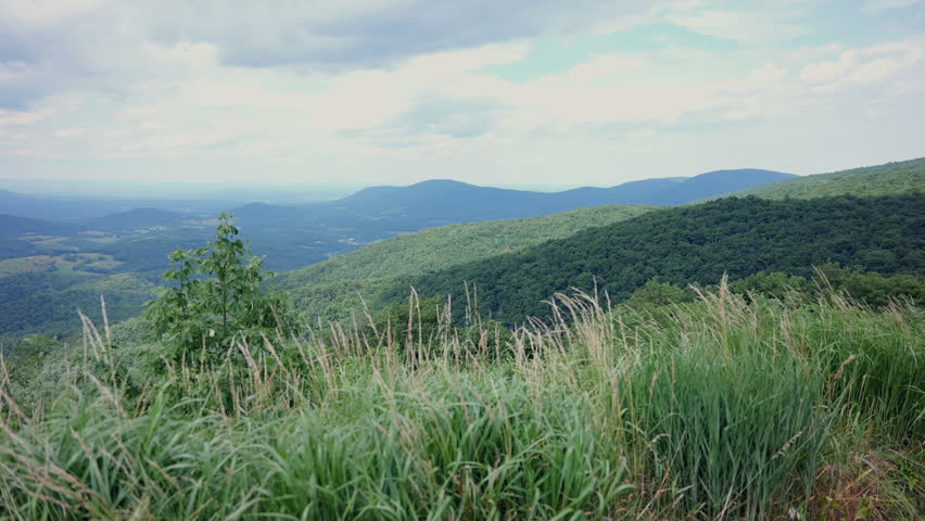 View on a summer day to the west from Skyline Drive in Shenandoah National Park