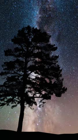 Night scene, trees silhouette under bright milky way galaxy. Space, starry sky scene time lapse.