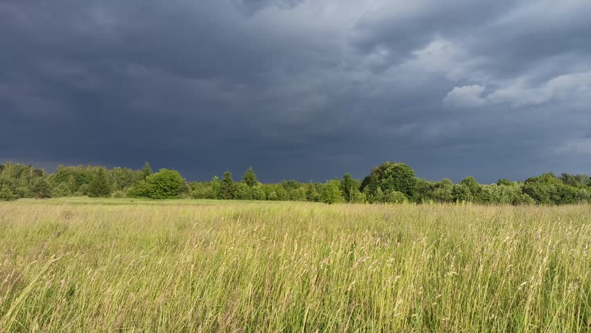 Dark storm clouds gathering over green meadow and forest landscape. Dramatic gray sky hangs low above a vast wild field before rain. Contrast between bright grass and overcast horizon in summer.