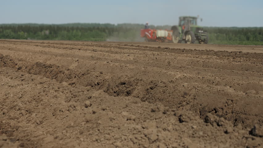Freshly prepared potato field with furrows in sharp focus and tractor with potato planter working in the background during spring planting.