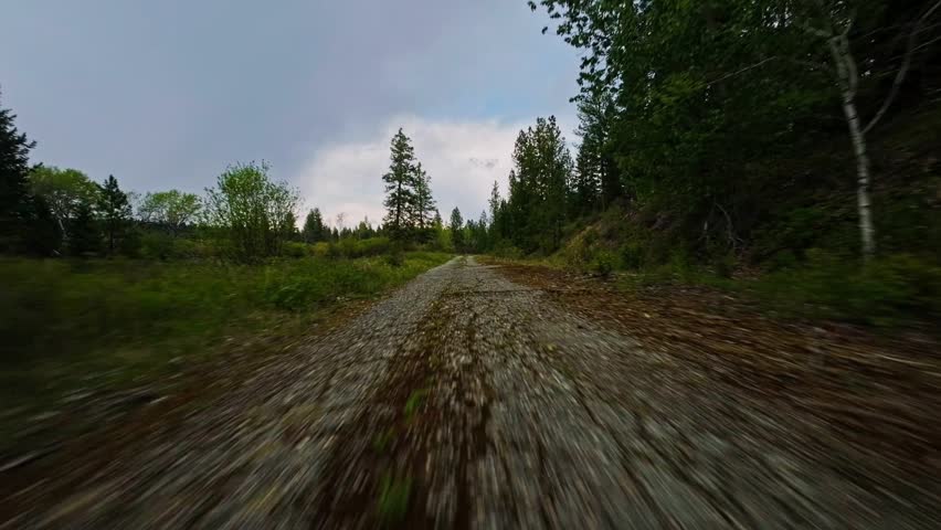 First-person view drone flies low and fast skimming over a narrow dirt and gravel path partially overgrown with grass, bordered by a marshy wetland on the left and a dense evergreen pine forest on the