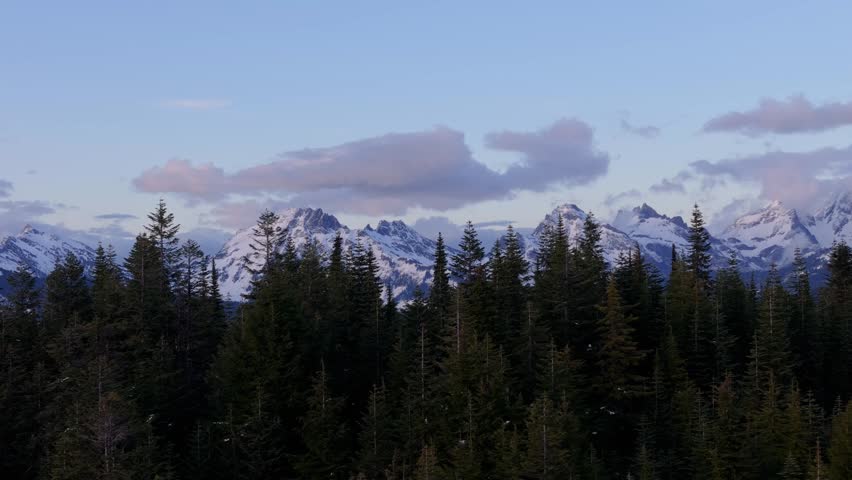 Majestic Snow-Capped Mountains Over Pine Forest in British Columbia, Canada
