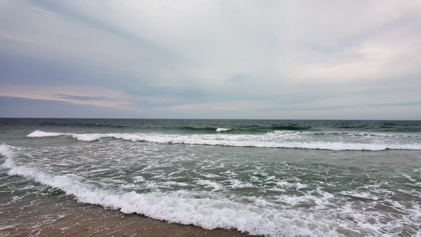 Island Beach State Park, NJ, USA. 2026.06.22. New Jersey