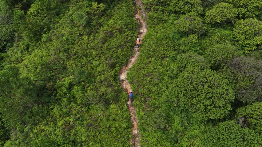 Backpacker hiking on the tropical forest trail	