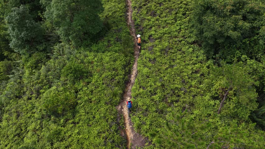 Backpackers hiking on the tropical forest trail	