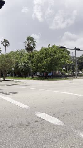 Miami Street Corner Palm Trees Tropical View
