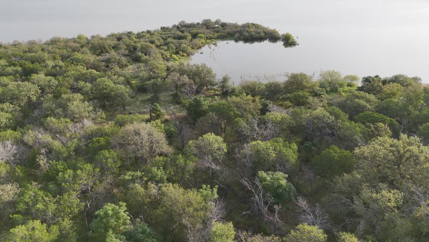 Large house secluded by dense trees and foliage near the lake