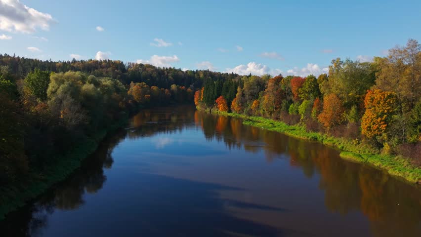 Flying backward reveals autumn reflections along the Gauja and forested banks