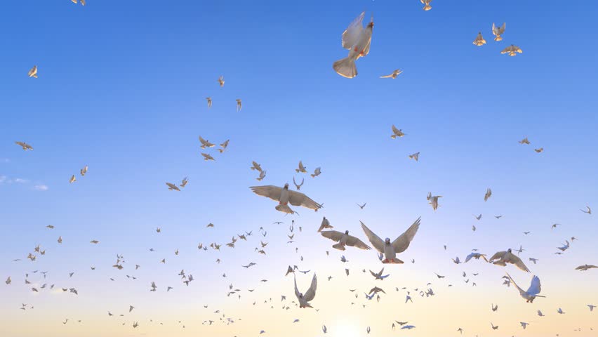 A flock of peace doves flying freely in the blue sky and white clouds