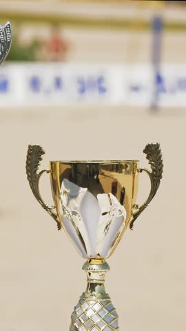 The winner