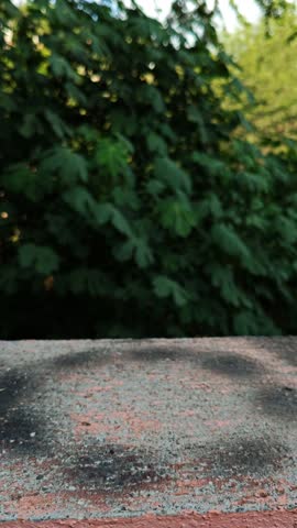 Placing a white spray paint can on a concrete surface outdoors