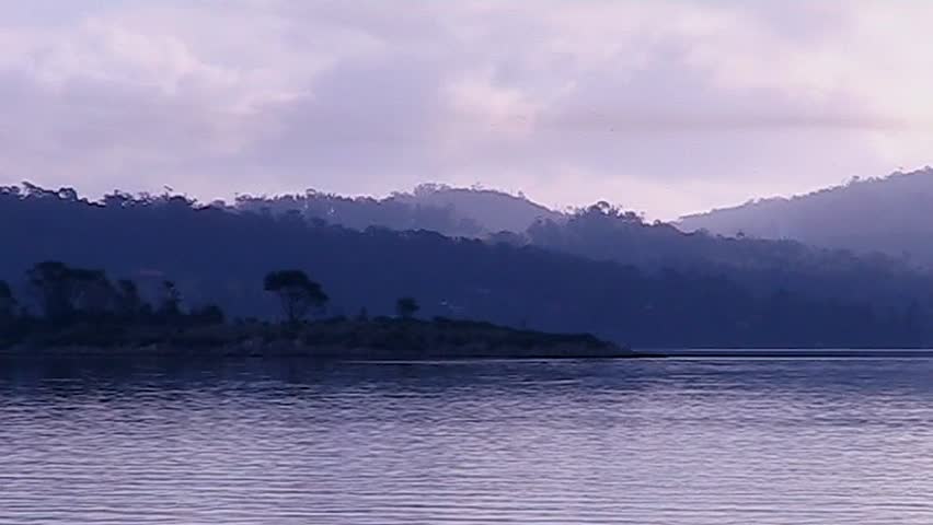 View of an island in a lake on a cold winter day, a bird flaps toward the camera