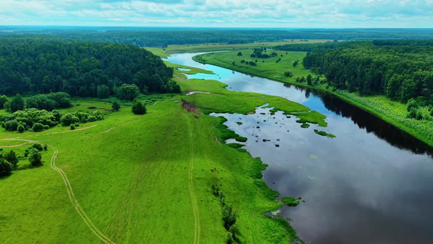 Expansive green riverbanks with lush forests and gentle river curves in nature landscape